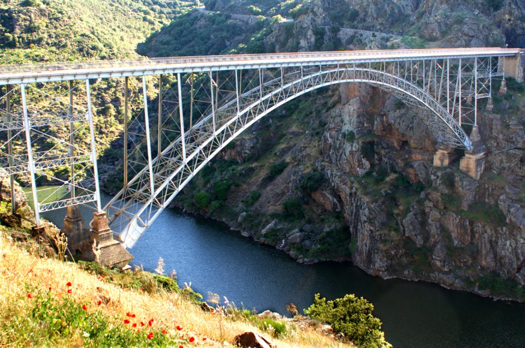 Puente Pino. Zamora