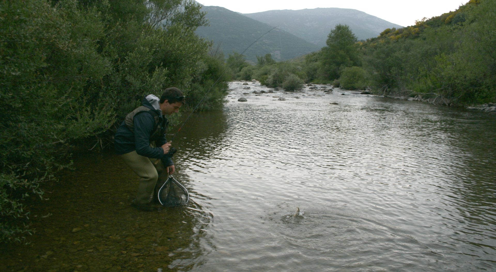 Pesca de trucha