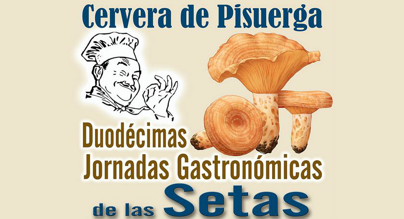 jornadas_gastronomicas_cervera_setas