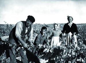 El pequeño Emilio Moro (fundador de la bodega) aprende a trabajar en la viña junto a su familia.