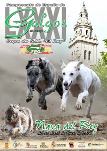 cartel campeonato españa galgos 2019