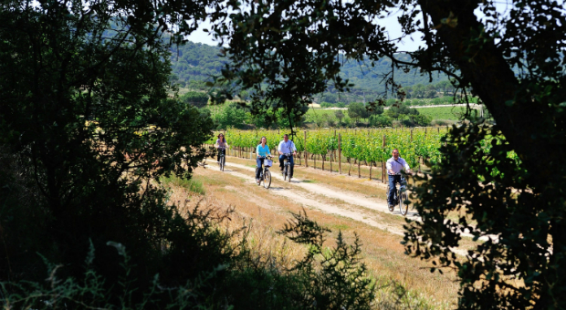 Las bodegas de la Ruta del Vino Ribera del Duero recibieron más de 187.000 visitas en 2014