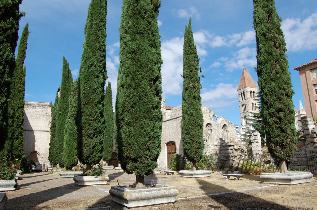 Los cipreses recuerdan las columnas de la segunda colegiata, Borja Álvarez