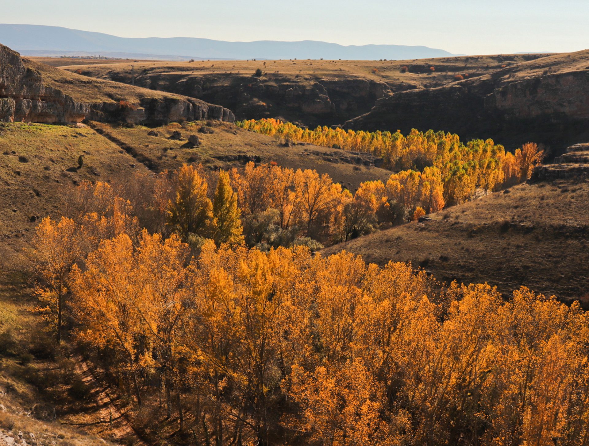 río Duratón desde Sepúlveda, otoño paisaje