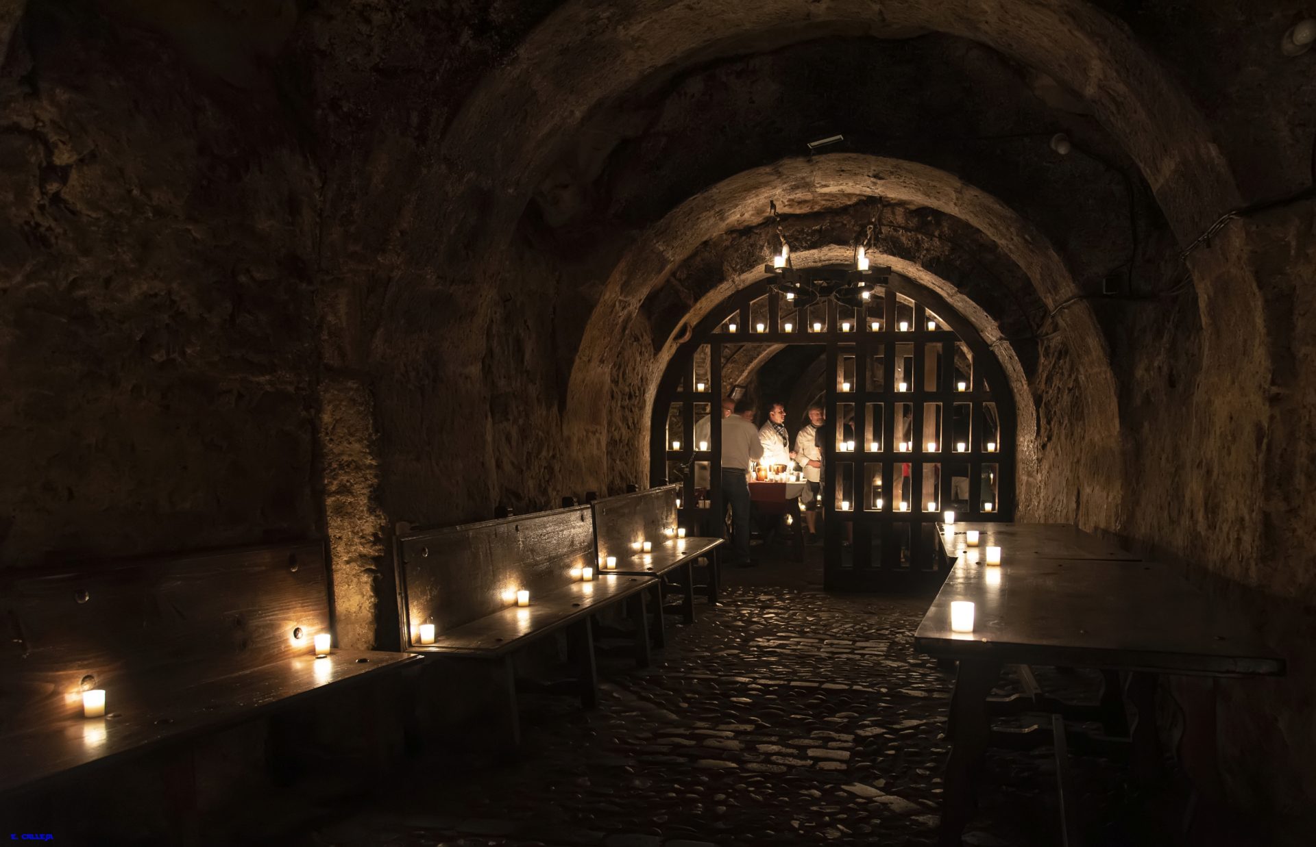 bodegas