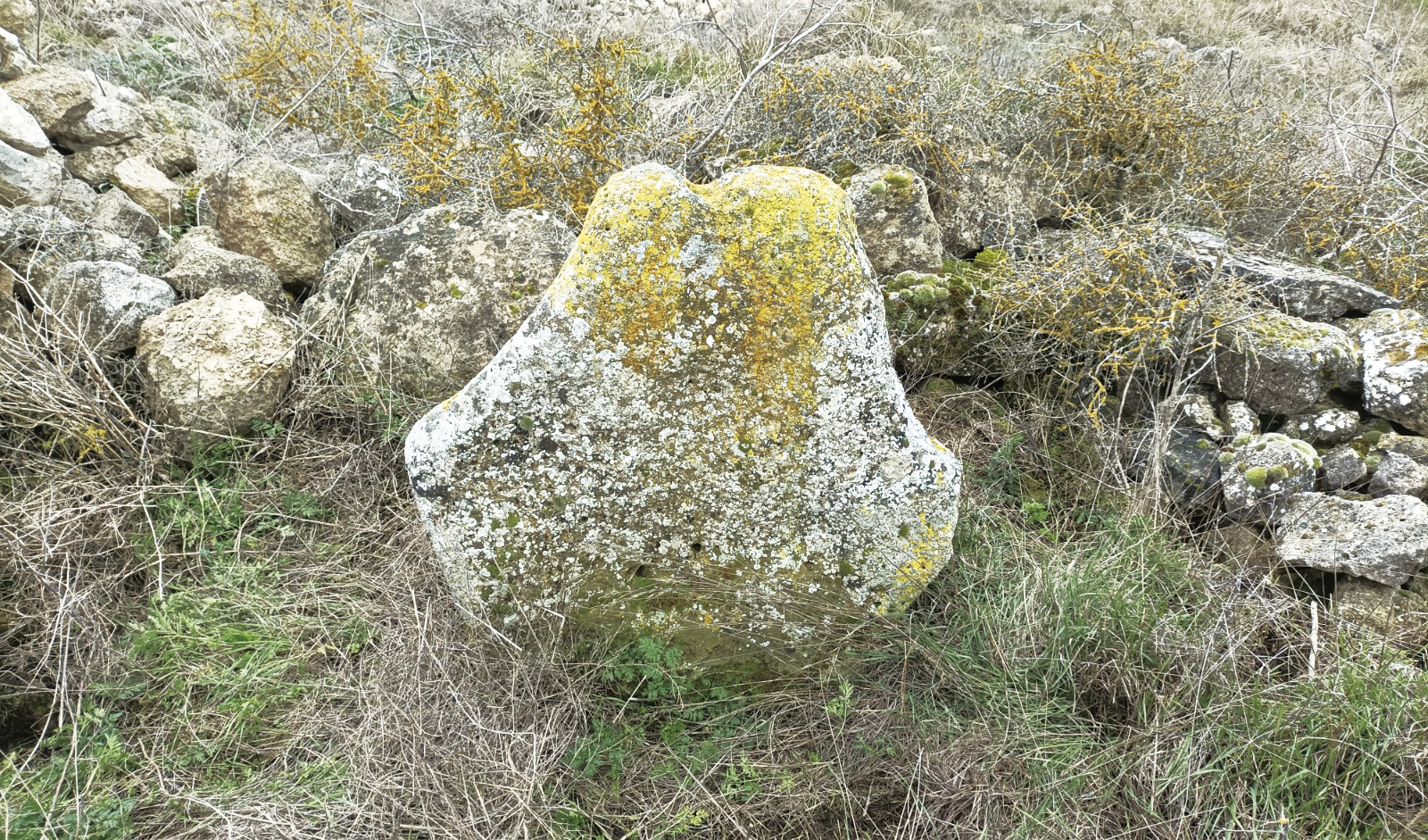la piedra, rafael varon la piedra