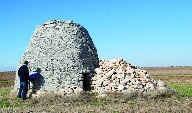 chozo de pastor cogeces del monte